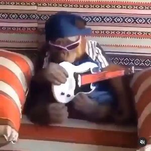 Meet your Posher, First name